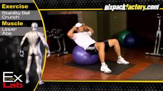 Stability Ball Crunch  Best Ab Exercises [upl. by Haas]