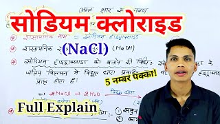 सोडियम क्लोराइड क्या है  sodium chloride kya hai  sodium chloride ka upyog chemistry class 10th [upl. by Anale445]