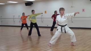 What is Shotokan Karate [upl. by Hermione]