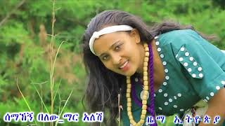 Semahegn Belew ሰማኸኝ በለዉ ማር አለሽmar alesh [upl. by Luhey661]