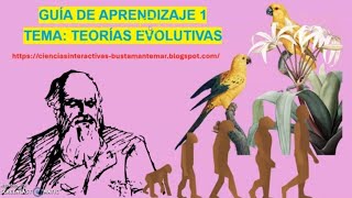 GUÍA TEORÍAS EVOLUTIVAS [upl. by Ettegirb]