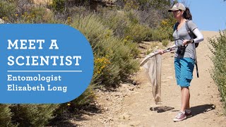 Meet a Scientist NHM Entomologist Elizabeth Long [upl. by Olen]