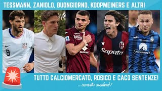 🚨 ROSICO SFOGO e CACO CALCIOMERCATO TESSMANN ZANIOLO BUONGIORNO OKOLI KOOPMEINERS CALAFIORI [upl. by Durnan]