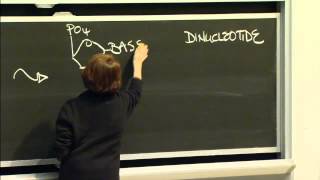 Macromolecules Lipids Carbohydrates Nucleic Acid Excerpt 2  MIT 701SC Fundamentals of Biology [upl. by Htiekram]