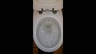 Villeroy and Boch toilet at restaurant [upl. by Allac]