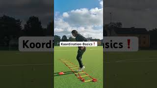 KoordinationBasics❗️fy koordination fußball basics individualtraining hardwork talent [upl. by Anura114]