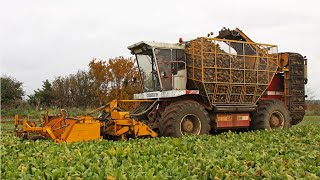 1995 Cebeco ZA 215 EH sixrow tanker sugar beet harvester  Classic farm machinery  Agrifac [upl. by Philine156]