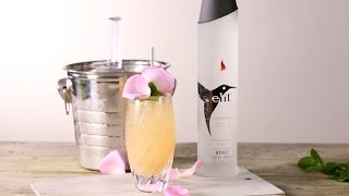 How To Make A Stoli Vodka Cocktail [upl. by Suqram828]