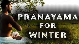 quot4 Must Do 🔥Warming Pranayama🔥 in Wintersquot  Pranayama for Winters  Triyogam yoga Therapy [upl. by Edeline974]