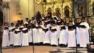 Dalit Liturhiko 5 Psalmo 51  Mirabilia Dei Choir [upl. by Cornew699]