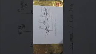 Easy diagram of scoliodonfishdogfish dogfish scoliodon fishaquaculture diagramoffish shorts [upl. by Kikelia]