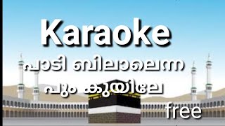 PAADIBILALENNA PUOMKUYILE KARAOKE WITH LYRICS MALAYALAM karaoke malayalam [upl. by Lyell418]