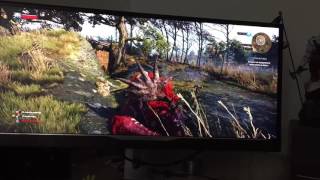 The Witcher 3 Nvidia Hairworks PC Monitor ultra wide [upl. by Zzaj]