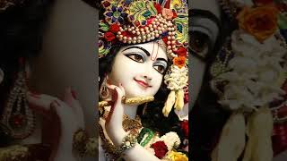 Jai shree Radhe Krishna sanvariyakardobedapaar 🙏❤️🙏🤗 [upl. by Raila]