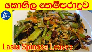 කොහිල දළු තෙම්පරාදුව  Tempered Lasia Spinosa Leaves  Kohila Dalu themparaduwa  Kohila Recipe [upl. by Gaelan]