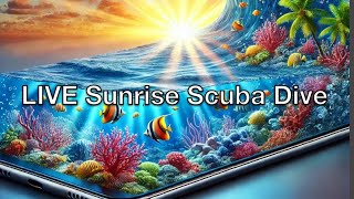 LIVE Sunrise Scuba Dive TT Replay 101824 [upl. by Eneleoj277]