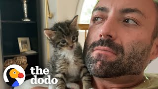 PhoneSized Kitten Turns Guy Into A Cat Person  The Dodo [upl. by Ettenej]