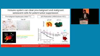 State of the Art Implications of Senescence for Breast Cancer Biology and Treatment [upl. by Hausmann]