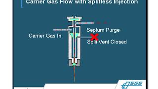 Gas ChromatographyMass Spectrometry GCMS Principles amp Techniques [upl. by Cesya]