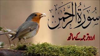 Surah Rahman With Urdu Translation full Qari Al Sheikh Abdul Basit Abdul Samad 2023 [upl. by Odnalo170]