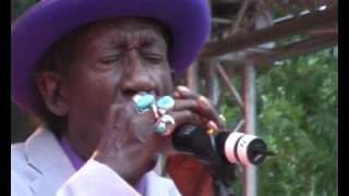 Guitar Crusher  Baby What You Want Me to Do Jimmy Reed  New Orleans Music Festival  Erfurt 2010 [upl. by Shulem]