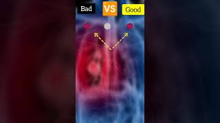 lungs test  lungs dises  viral feetness viral test [upl. by Kinata893]