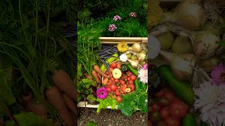 Our Biggest 2024 Harvest 🥬🍅🥕🌸🌻 ASMR Picking [upl. by Repard631]