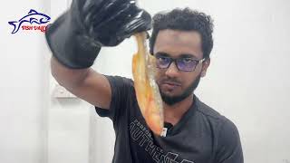 Taposhi amp Sundarbans Fish [upl. by Pul]