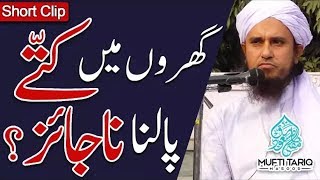 Kya Kutte Ko Ghar Mein Rakh Sakte Hain Mufti Tariq Masood Short Video [upl. by Nauqahs752]