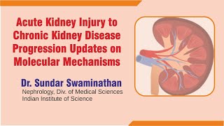 Acute Kidney Injury to Chronic Kidney Disease Progression Updates on Molecular Mechanisms [upl. by Nirot]