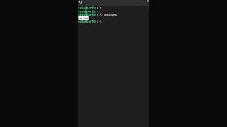 hostname Komutu  Temel Network Komutları pardus linux [upl. by Carrillo]