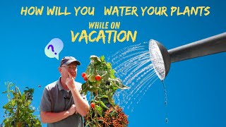 How to Water Your Plants While Youre on Vacation [upl. by Ahsenauq]