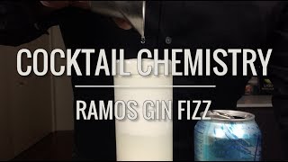 Advanced Techniques  How To Make The Ramos Gin Fizz [upl. by Dett758]