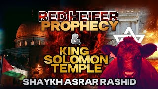 Red Heifer Prophecy Temple Of Solomon Masjid Aqsa Shaykh Asrar Rashid [upl. by Najtsirk]