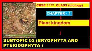 Bryophyta and its classification characteristics of bryophyta example of bryophyta [upl. by Alaet701]