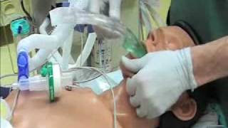 Intubation mit igel [upl. by Ahsietal]