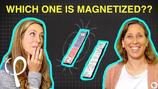 Can you solve the MAGNET RIDDLE ft YouTube CEO Susan Wojcicki [upl. by Nemzaj]