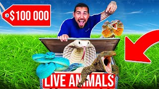 100000 Reptile UNBOXING Indonesia Import [upl. by Rucker]