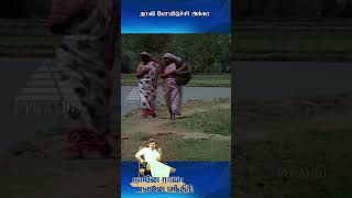 தாலி போயிடுச்சி அக்கா  vijayakanth tamilmoviescenes comedy shorts [upl. by Etram976]