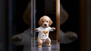 Dog Dance Motorcycle dog motorcycle dance goldenretriever dogdance trending ai [upl. by Niatsirhc]