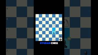 Checkmate in the corner with knight shorts chess [upl. by Drugge284]