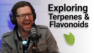 Terpenes amp Flavonoids Unveiled [upl. by Davies]