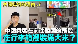 大鬧機場？中國乘客在前往韓國的飛機上 在行李箱裡裝滿大米的理由｜DenQ [upl. by Anitap]