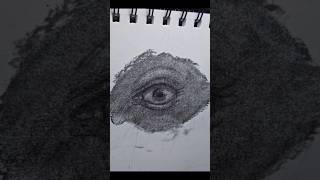 Dessiner un oeil au fusain et au crayon graphite dessinréaliste artrealism art [upl. by Lynette]