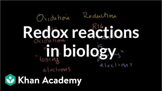 Oxidation and reduction review from biological pointofview  Biomolecules  MCAT  Khan Academy [upl. by Oswald]