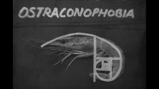 Ostraconophobia  With Temp Score [upl. by Alfeus]