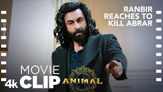 ANIMAL SCENE 23 Ranbir Reaches To Kill Abrar🔪  Ranbir K Bobby Deol Sandeep V Bhushan K [upl. by Cave]