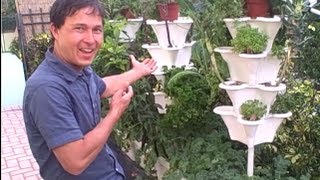 Easy Vertical Hydroponics Tower Garden  Even Beginners Can Grow Food [upl. by Helali488]