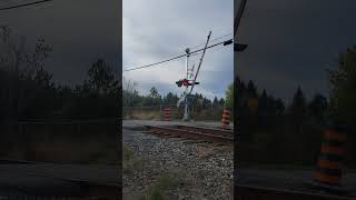 Thanksgiving Via Train Crossing in Ottawa [upl. by Warchaw380]