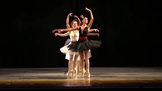 Pointe Performance at Philadelphia Dance Day 2018 [upl. by Einnaej193]